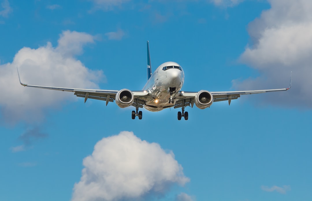 Maximize Your Air India Flying Returns: Insider Tips for Earning and Redeeming Miles in 2026